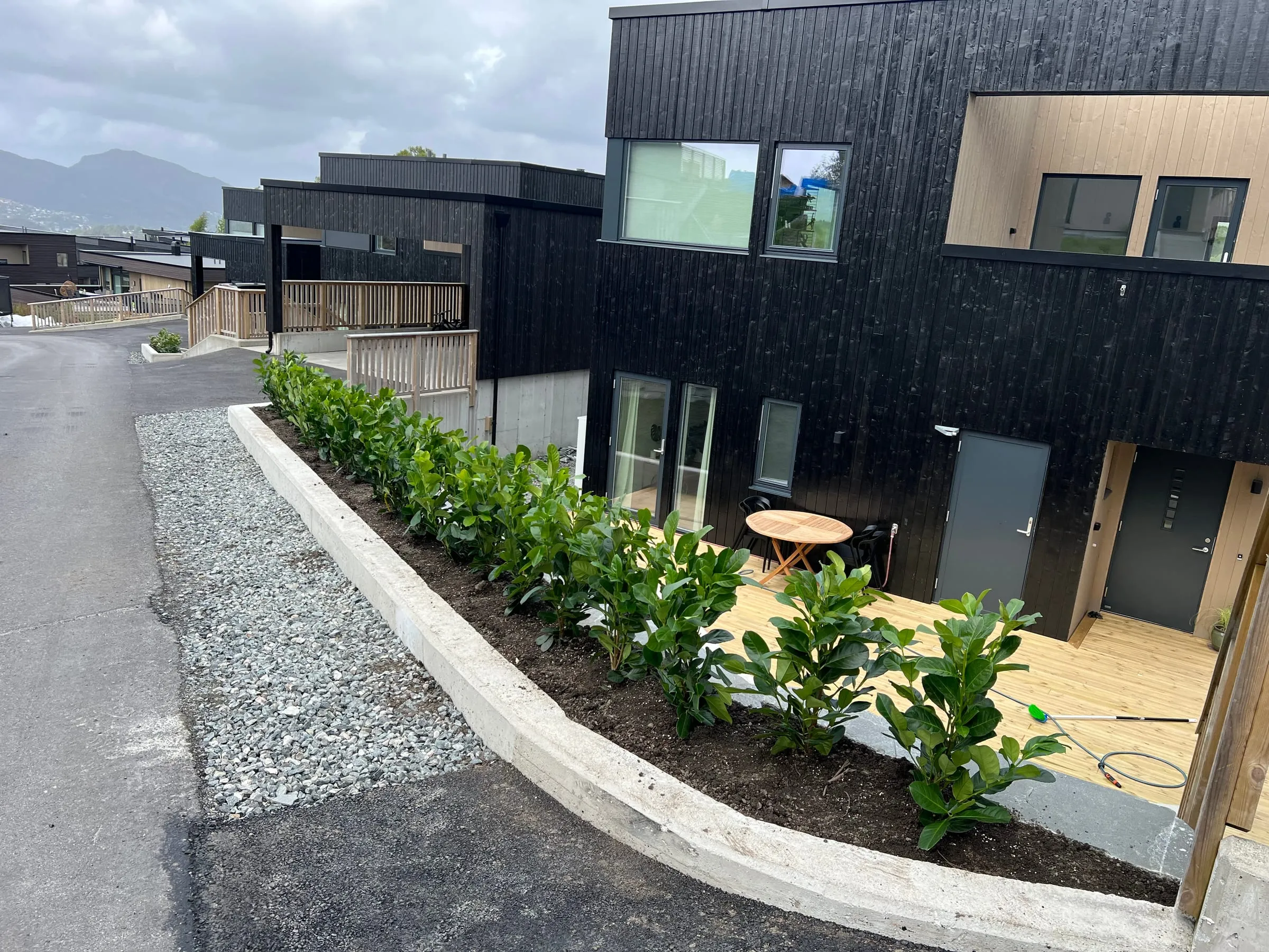 Kantstein med frodig beplantning langs bolig, Ellingsen AS