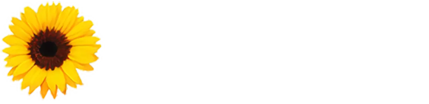 Anleggsgartner Ellingsen AS